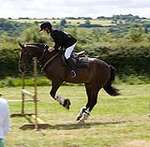 Wanborough Horse and Dog show